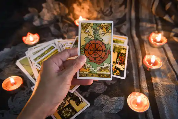 tarot cards Shubuta